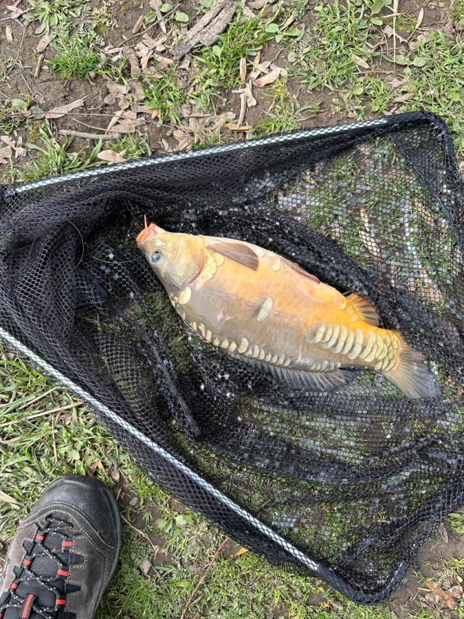 Zouw Hausboat Zakotven -Pouze Ubytovani Roudnice nad Labem Exteriör bild